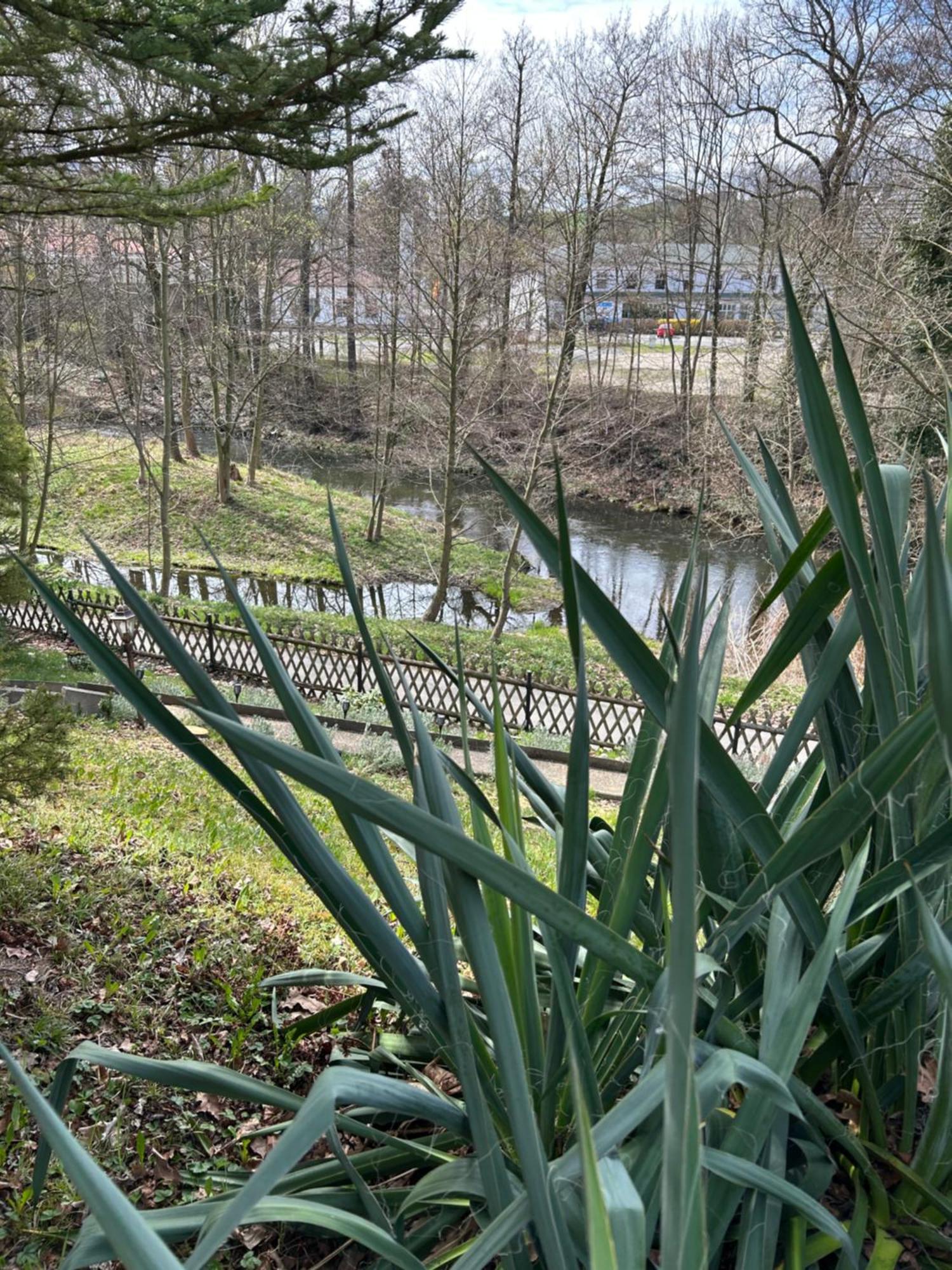 Ferienhaus Lavendel Obergurig Exteriér fotografie